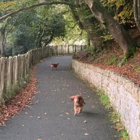 Old Post Office * Linsfort