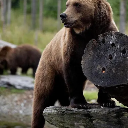 Old Post Office * Linsfort