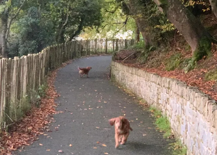 Old Post Office * Linsfort