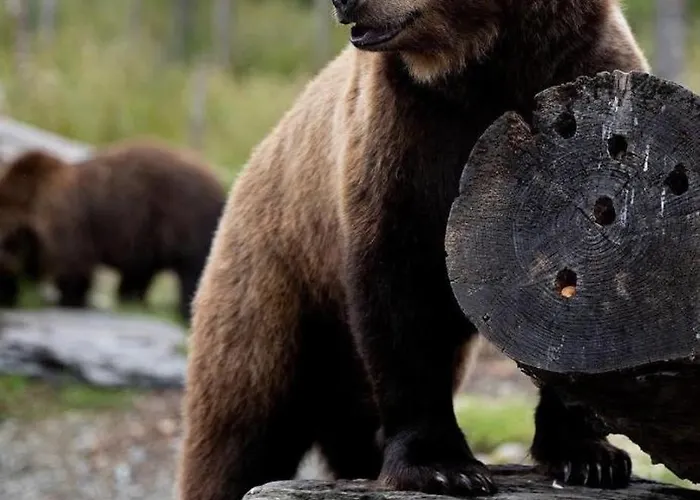 Old Post Office * Linsfort