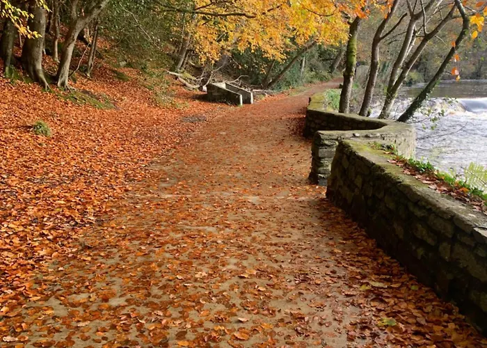 Old Post Office * Linsfort